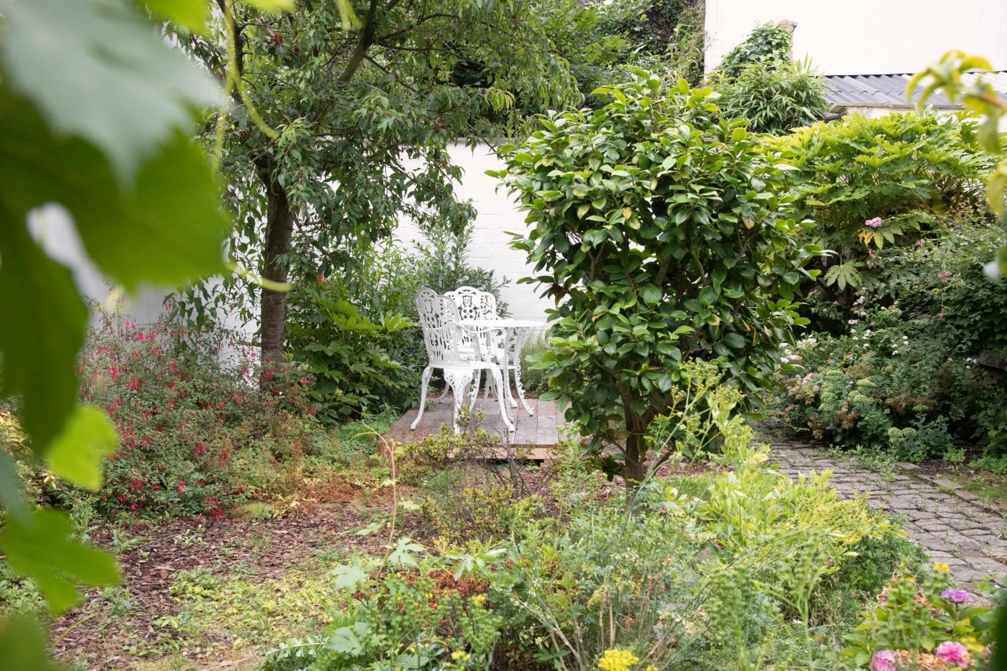 The Greenhouse Antwerpen Exterior foto